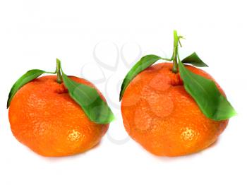 Fresh tangerine with leaves isolated on a white background