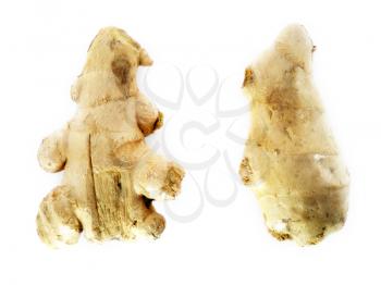 Fresh Ginger root on a white background
