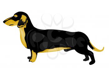 Royalty Free Clipart Image of a Dachshund
