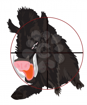 Royalty Free Photo of a Wild Boar in Crosshairs