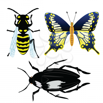 Royalty Free Clipart Image of a Bee, a Butterfly and a Beetle