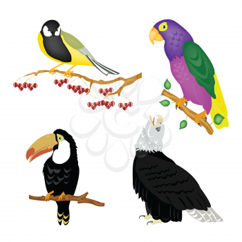 Royalty Free Clipart Image of Four Birds