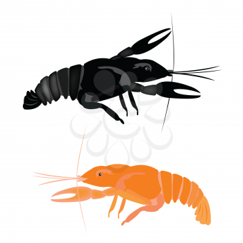 Royalty Free Clipart Image of Lobsters