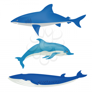 Royalty Free Clipart Image of a Dolphin, Whale and Shark