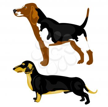 Royalty Free Clipart Image of Two Dogs