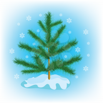 Royalty Free Clipart Image of an Evergreen Tree in Winter