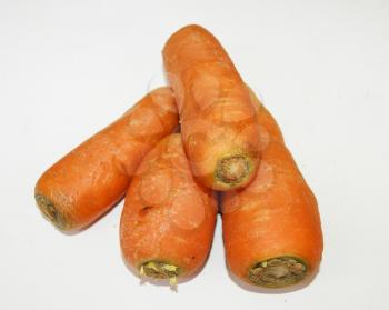 Vegetables carrot on white background is insulated