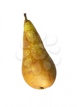 Ripe pear on white background is insulated