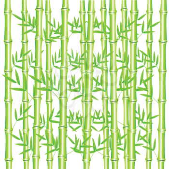 Illustration wood bamboo on white background