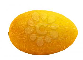 Ripe melon on white background is insulated