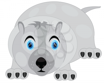 Vector illustration bear on white background is insulated