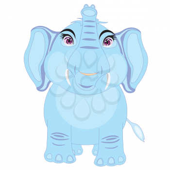 Vector illustration of the elephant on white background