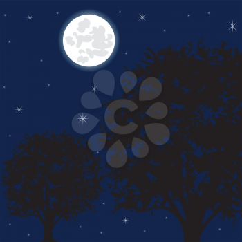 Illustration night sky on background tree and stars