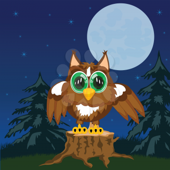 Bird owl in the night in wood