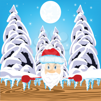 Winter wood and festive santa in red