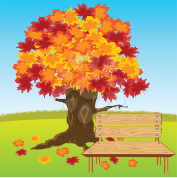 Vector illustration of the wooden bench under tree