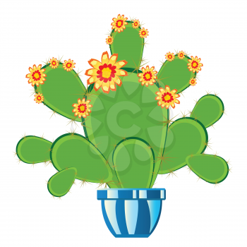 Vector illustration of the cactus in pot on white background