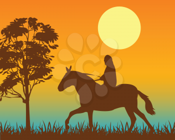 The Walk horseback on horse at night.Vector illustration