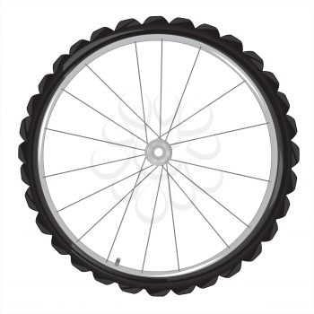 Wheel from bicycle on white background is insulated