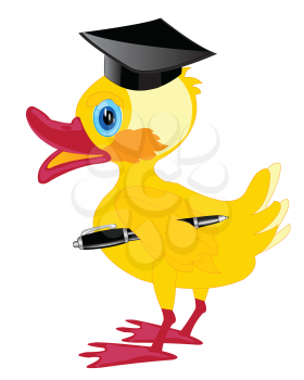 Duckling teacher on white background is insulated