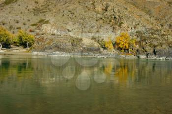 The Clean mountain river by autumn.Mountain Altai