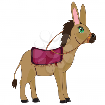 Vector illustration pets burro on white background is insulated