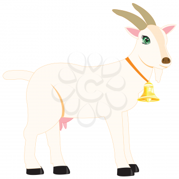 Vector illustration of the nanny goat with campanula on white background