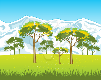 The High snow mountains and field with flower.Vector illustration
