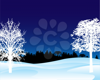 The Colorful winter landscape night wood.Vector illustration
