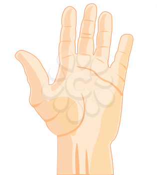 Vector illustration palm person on white background is insulated