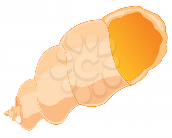The Beautiful seashell from epidemic deathes.Vector illustration