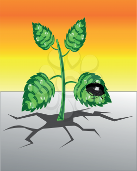 The Plant rising from rift in the land.Vector illustration