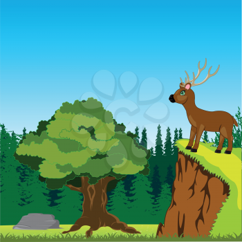The Animal deer on peak of the mountain in wood.Vector illustration