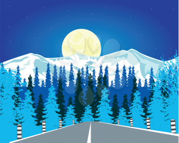 The Car road in wood in winter in the night.Vector illustration