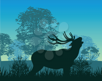 The Wildlife deer in wood in the morning.Vector illustration