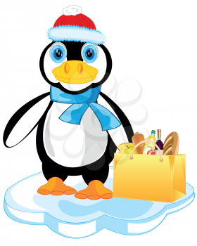 Cartoon of the penguin with product and in hat on block of ice