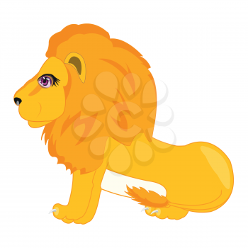 Animal lion on white background is insulated