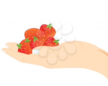 Palm of the person with berry strawberries on white background