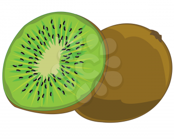 Ripe tropical fruit kiwi on white background is insulated
