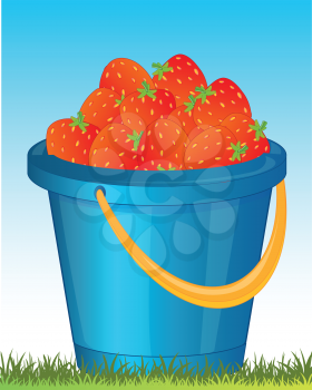Full pail of the ripe berry strawberries on herb