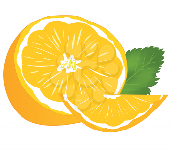Ripe cut tangerine on white background is insulated