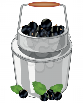Capacity of the full ripe berry currant on white background