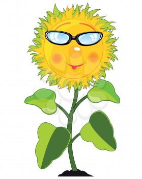 Cartoon of the sunflower on white background is insulated