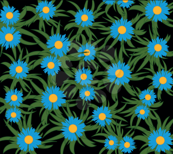 Much beautiful flowers of the blue colour on black background