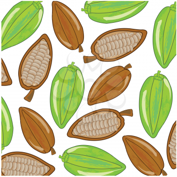 Vector illustration of the decorative pattern from fruit cacao ripe and green