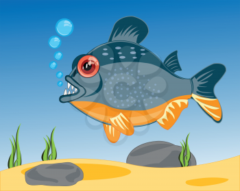 Vector illustration of ravenous river fish piranhas sailling in water