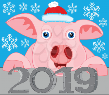 Vector illustration of the new year to pigs