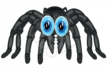 Vector illustration of the poisonous spider tarantula cartoon