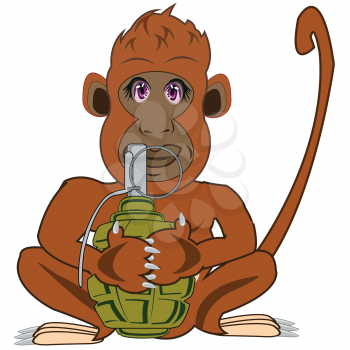 Cartoon animal ape with grenade on white background