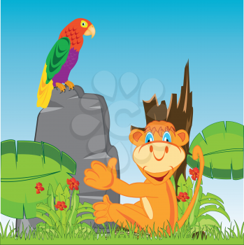 Vector illustration animal marmoset and parrots in jungle